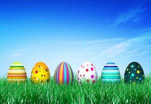 Egg hunt